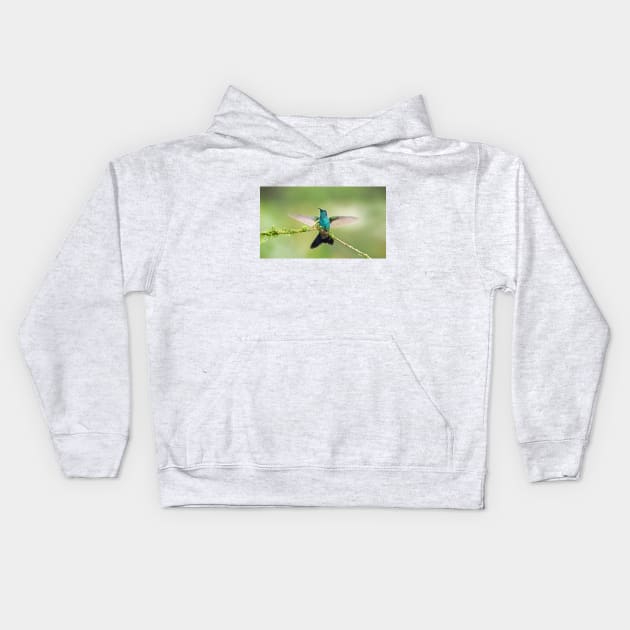 Green Violetear Hummingbird Kids Hoodie by Jim Cumming